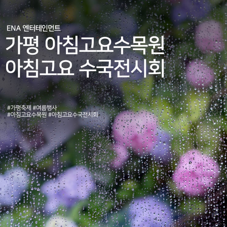  가평 아침고요수목원 여름 행사 : 아침고요 수국전시회 정보