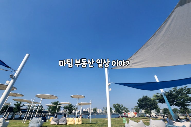  주말 여의도한강공원 나들이