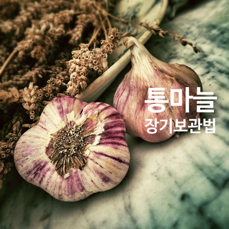  통마늘보관법, 냉장보관으로 장기저장 가능한 손질법