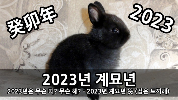  2023년 癸卯年 계묘년 운세 [상문살.반음복음.천을귀인]