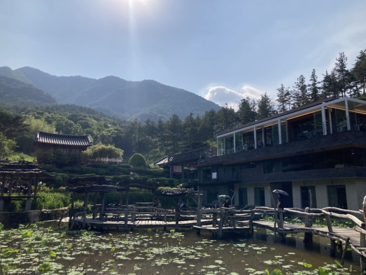  산청 가볼만한곳 연못있는 아름다운 절 수선사