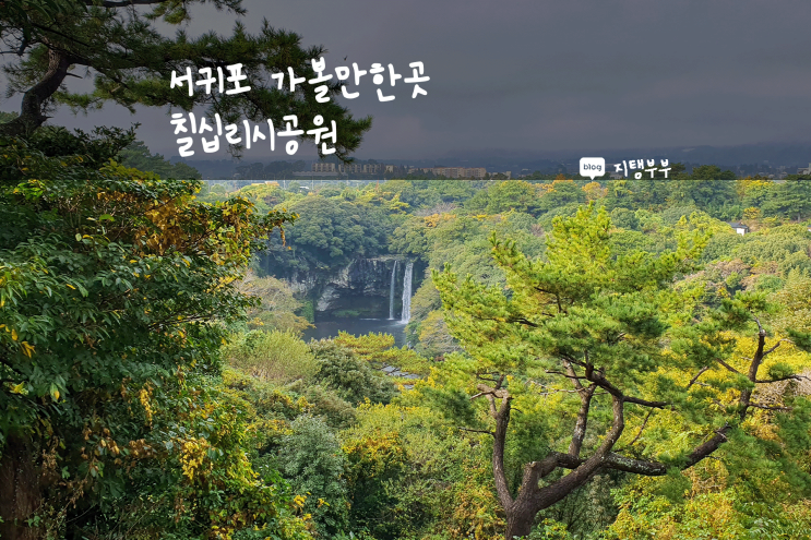 서귀포 서홍동 | 서귀포 가볼만한곳 칠십리시공원 산책코스로 추천