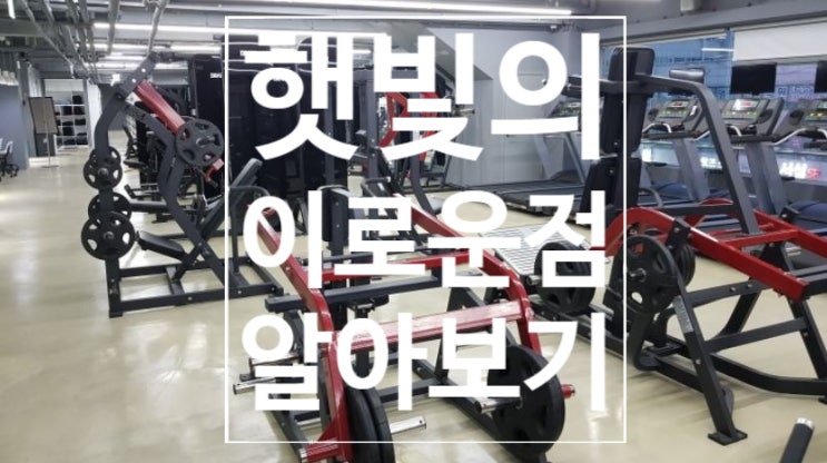  [탄현 헬스][탄현 헬스장][탄현 PT] 레디바디 탄현 헬스장에서 알아보는 햇빛의 이로운점 