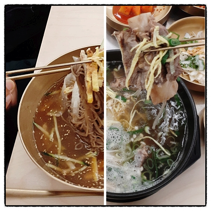  유원옥 진주냉면 둔산점 대전갈비탕 둔산동냉면 맛집 후기
