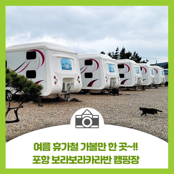  포항 월포 해수욕장 여름 휴가지로 가볼만한 보라보라카라반 캠핑장
