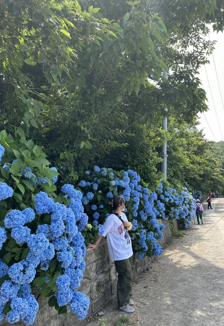  통영여행(6.17~6.18)