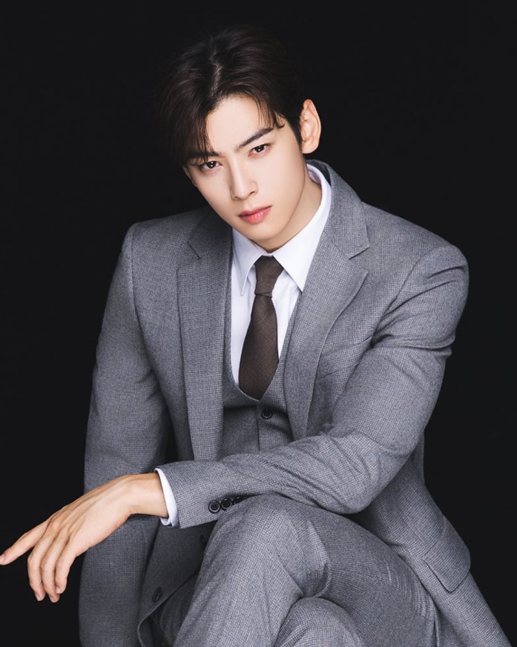 서울<b>콘서트</b>, BTS 뷔/정국, <b>차은우</b>, 이민호, 트와이스 지효... 