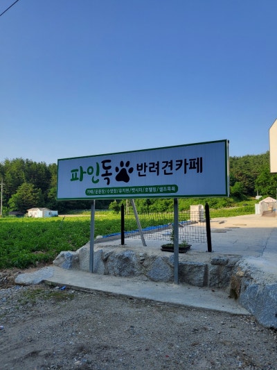 파인독