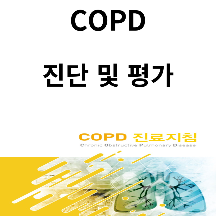 만성폐쇄성폐질환 진단 및 평가(COPD 진료지침 2018 개정)