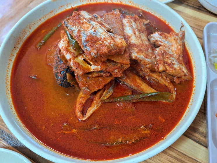  [제주] 여행인데 이제 나한테 제주는 여행인가+카프리