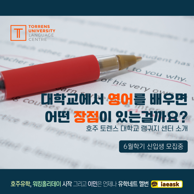 호주 토렌스대학교 어학연수 과정 Torrens University 신입생 모집 (유학이민네트 멜버른)