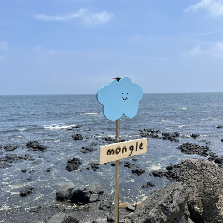  몽그레 : 제주 월정리 디저트카 페 선물용으로 딱 좋은 곳/위치 가격정보