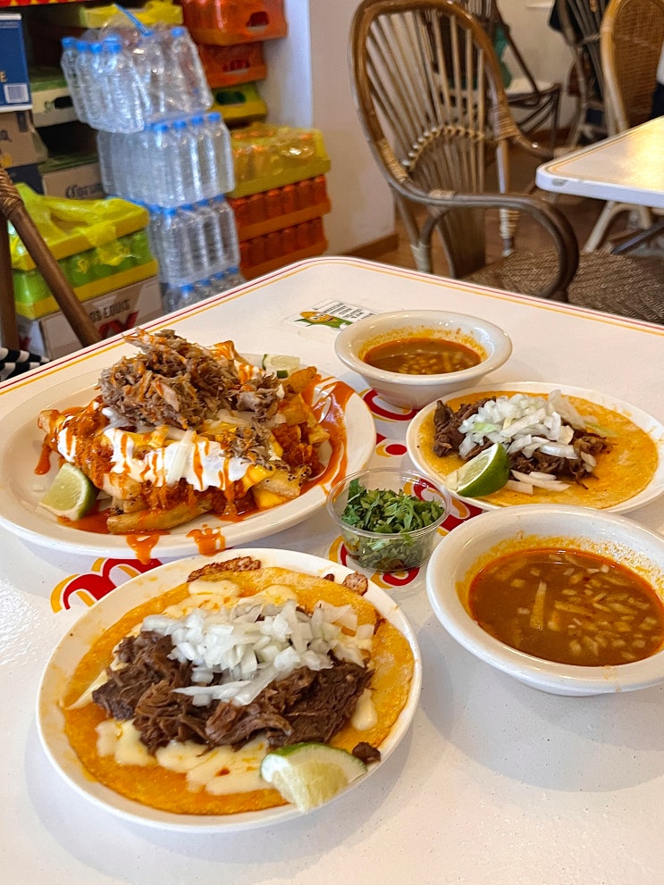  [문래역] 문래동 가성비 좋은 타코 맛집 내돈내산| 타코비리아