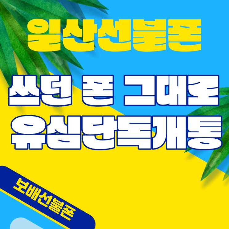 일산선불폰 쓰던폰 그대로 유심단독개통 했어요. 일산선불폰 쓰던폰 그대로 유심단독개통 했어요.