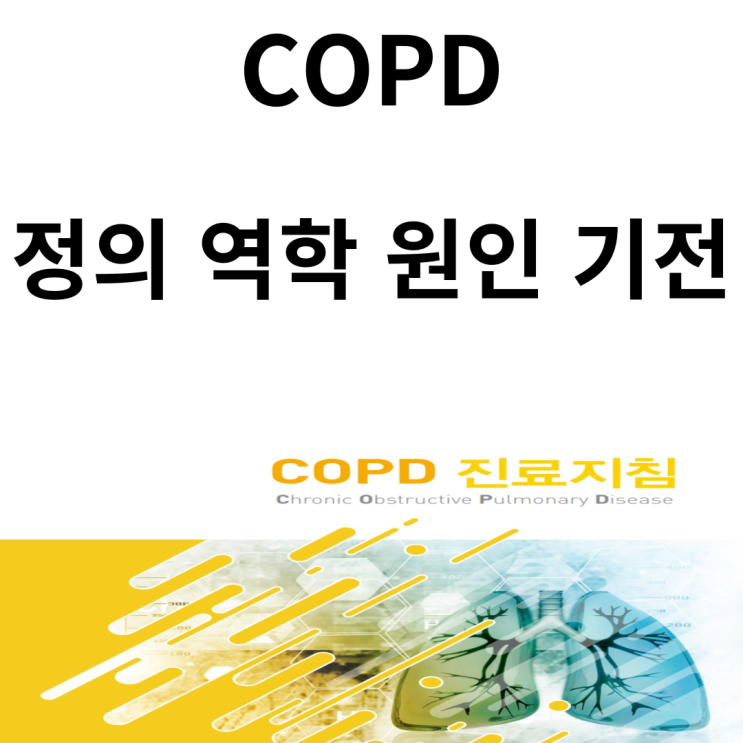 만성폐쇄성폐질환 정의 역학 원인 기전(COPD 진료지침 2018 개정)