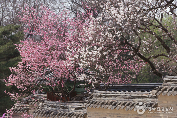 [N뉴스] 여권 “핵심은 <b>수능</b> 아닌 사교육 경감…전 정부서... 