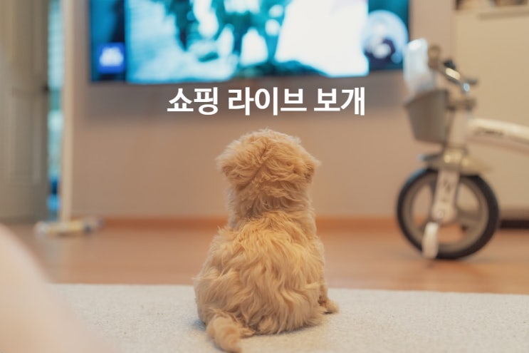  쇼핑라이브에 빠져버렸닷...