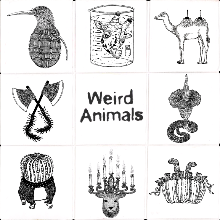 이상한 동물들 드로잉 시리즈 - weird animals illustration