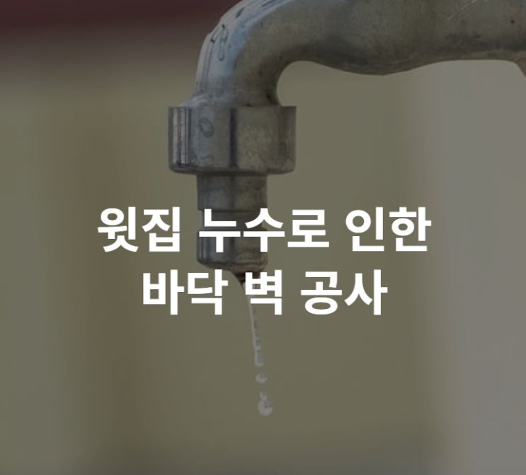  윗집 누수로 인한 지하 바닥 습기 벽 공사 후 곰팡이 냄새 제거까지