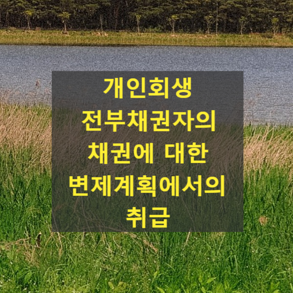 개인회생 전부채권자의 채권에 대한 변제 계획에서의 취급(2007마1679)