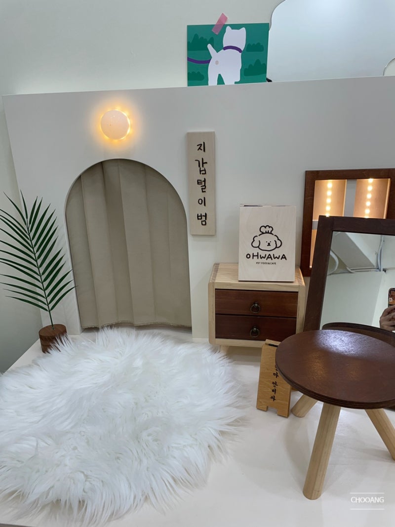 사진 5