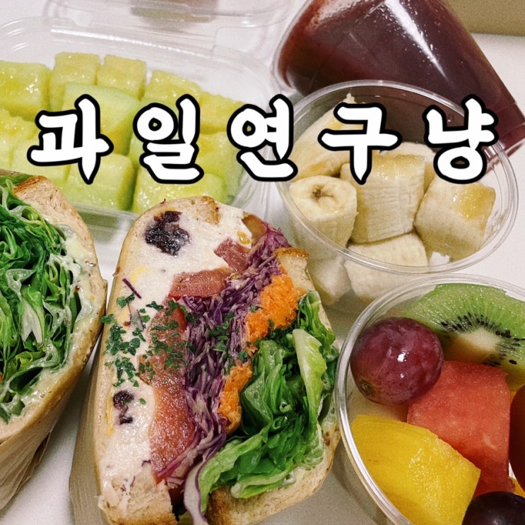  종각맛집 과일연구냥 샌드위치 과일도시락 편하고 맛있는 광화문맛집