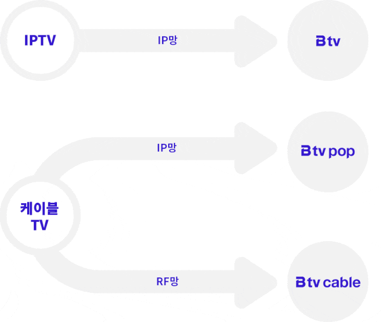  Btv pop 가성비 요금제를 비교하고 가입하세요.