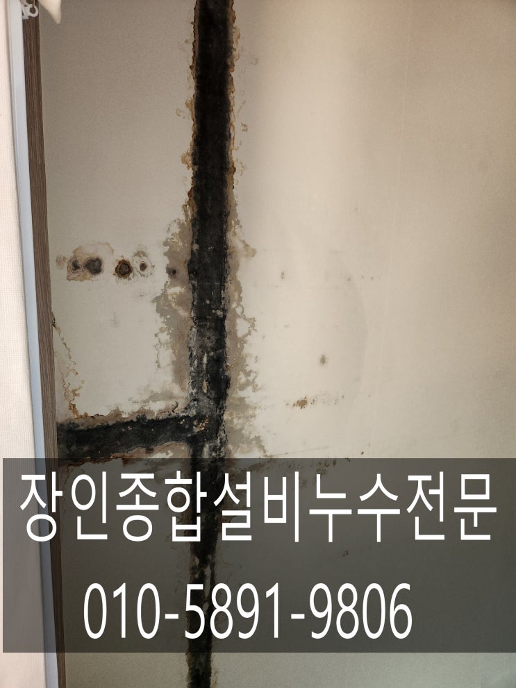  군산누수 비용을 줄이는 방법