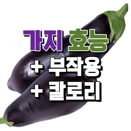  가지의 효능과 칼로리, 부작용까지 한 번에 정리 (항암과 항산화)