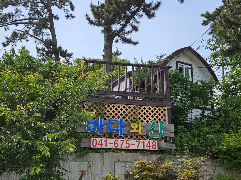 사진 3