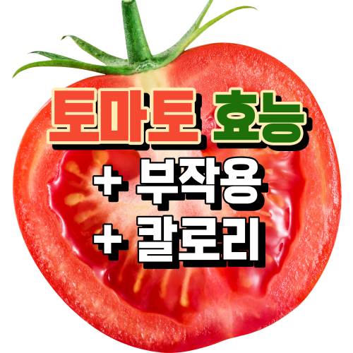  토마토의 효능과 칼로리, 부작용 등 한 번에 정리 (토마토와 설탕의 상관관계)