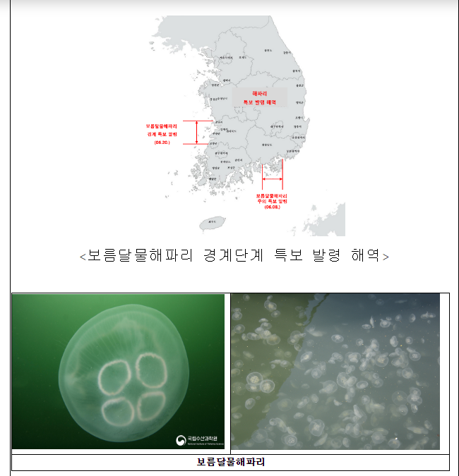 전북 해역 해파리 경계단계로 특보 상향 발령 전북 해역 해파리 경계단계로 특보 상향 발령