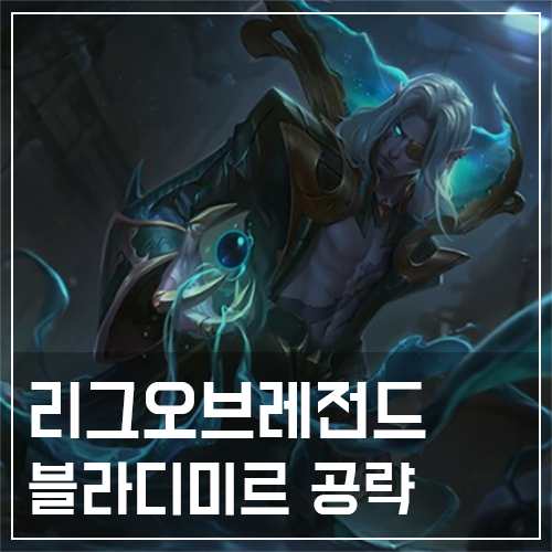  블라디미르 템트리 및 룬, 스킬 공략