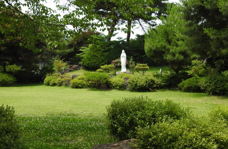 6. 20(화) 경찰관련기사