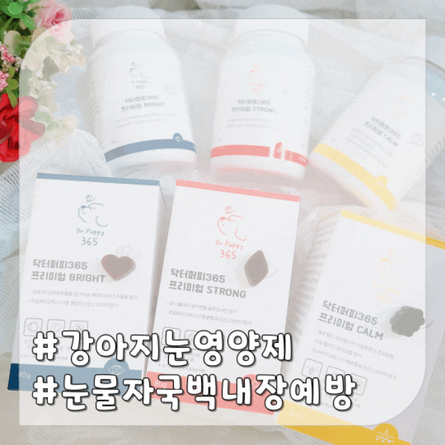  강아지 눈영양제 눈물자국 냄새  백내장 예방 닥터퍼피365
