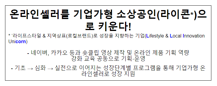 온라인셀러를 기업가형 소상공인(라이콘)으로 키운다! 온라인셀러를 기업가형 소상공인(라이콘)으로 키운다!
