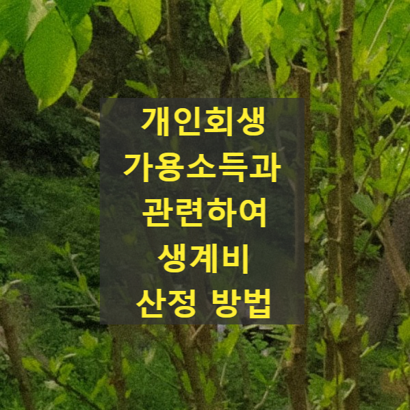  개인회생 가용소득과 관련하여 생계비 산정 방법