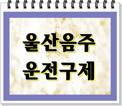  울산 음주운전 납품직 구제