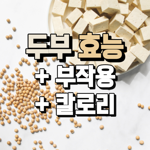  두부 효능과 부작용, 칼로리까지 한 번에 정리 (단백질 함량)