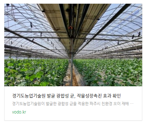 [저녁뉴스] 경기도농업기술원 발굴 광합성 균, 작물성장촉진 효과 확인