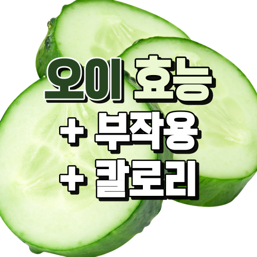  오이 효능과 칼로리, 부작용 한 번에 정리 (다이어트)
