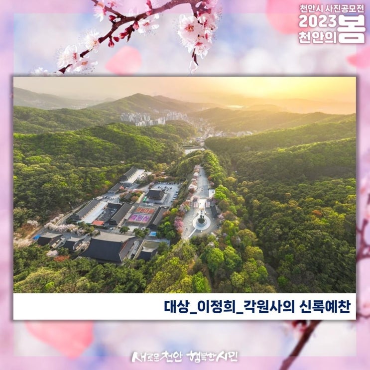 2023 천안의 봄 천안시 사진공모전 당선작 공개 | 천안시청페이스북