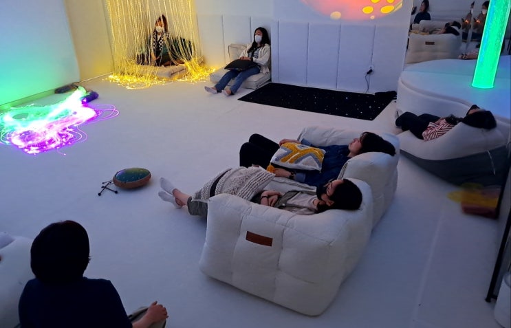  스누젤렌 프로그램 부모자녀 관계를 위한 스누젤렌/성인을 위한 스누젤렌/아동 개인과 집단을 위한 스누젤렌(스노젤렌) 프로그램의 실제 및 중재방법