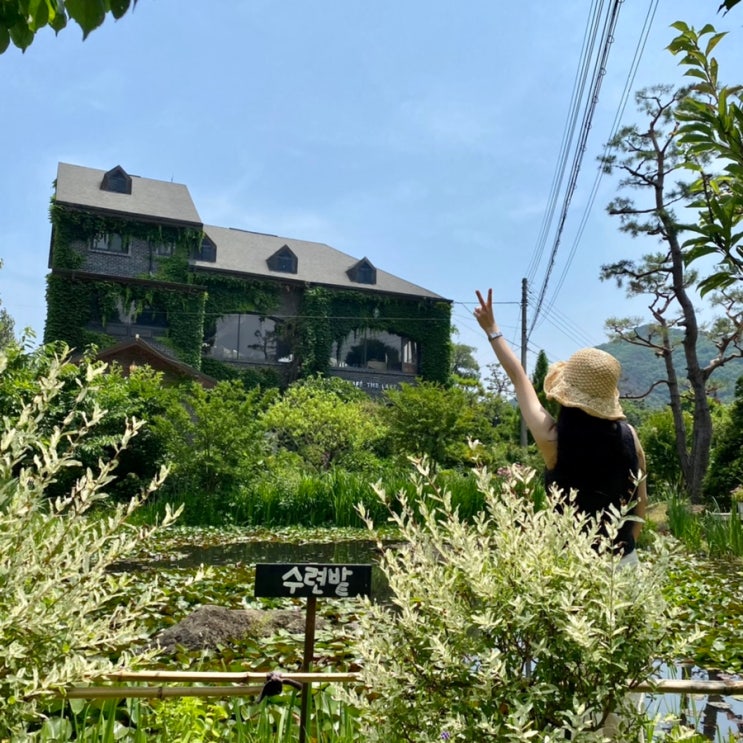  충북 옥천 힐링정원 <수생식물학습원>