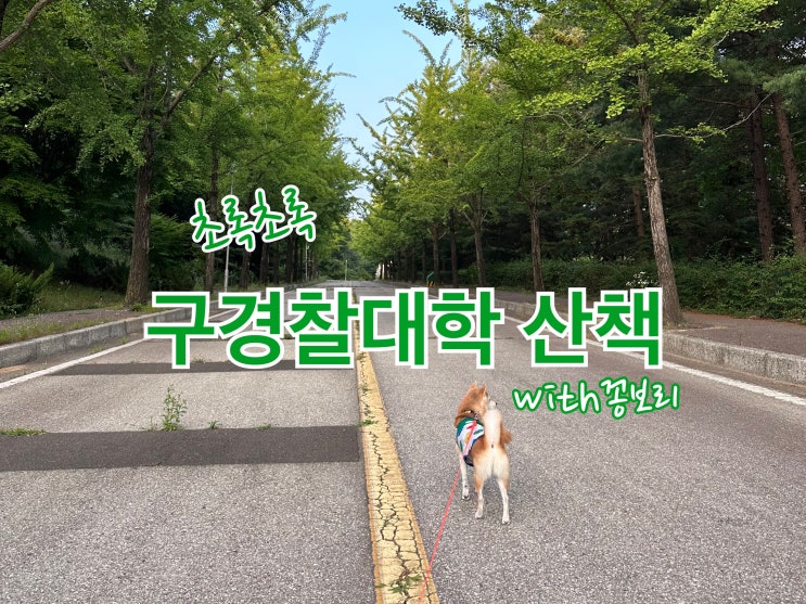  구 경찰대학 그늘많아서 강아지랑산책하기 좋아요.