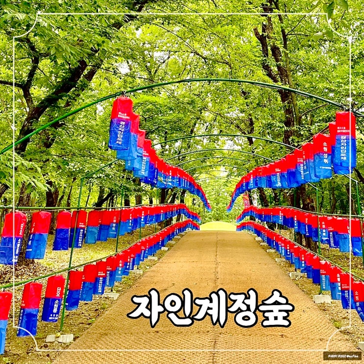  경산 가볼만한곳 여름에도 걷기좋은 산책길 자인계정숲 / feat. 경북6월축제 경산자인단오제