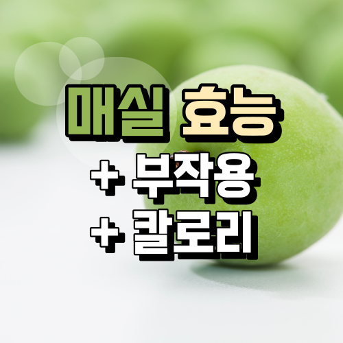  매실 효능과 칼로리, 부작용까지 한 번에 정리 (천연 소화제)