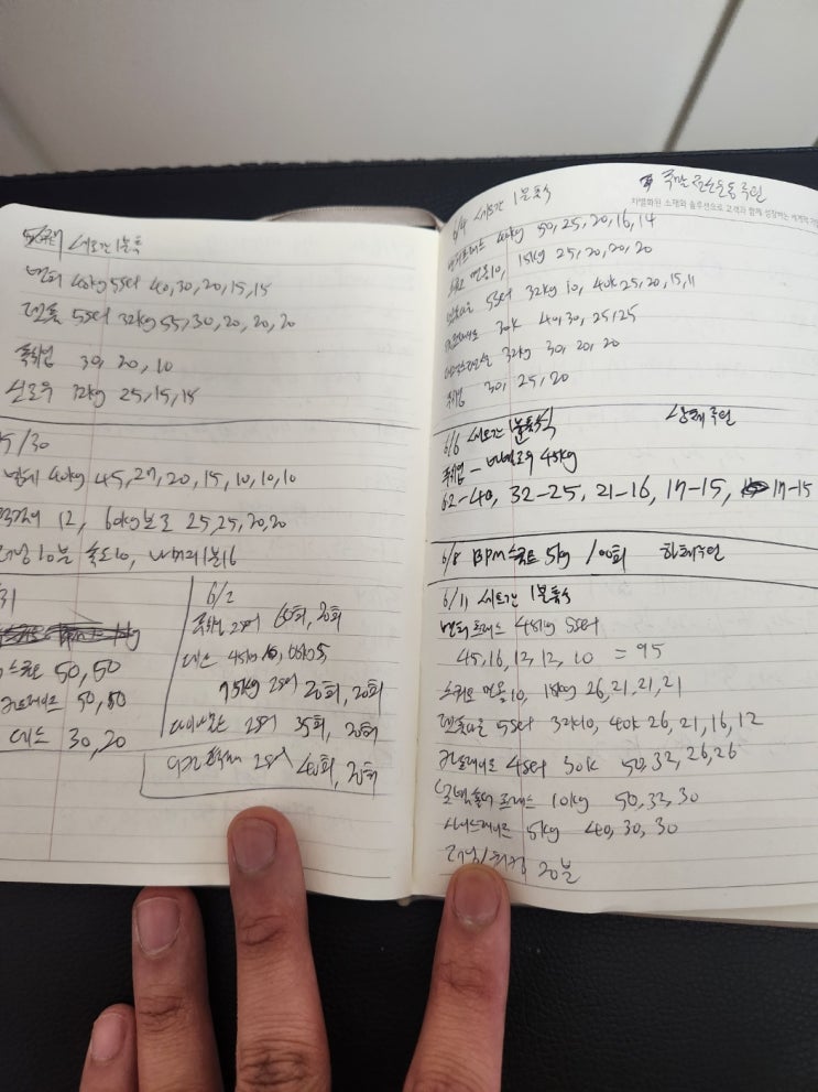  [운동,일상]푸쉬업,턱걸이,스쿼트 등 웨이트 운동