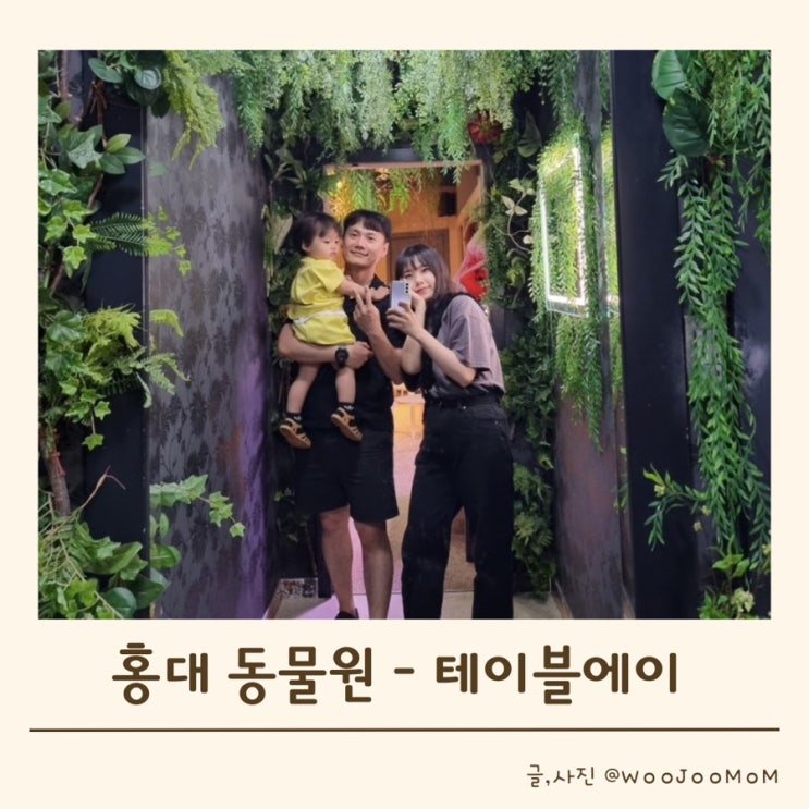 홍대에 있는 신기한 동물원! 아이와 함께 테이블에이 다녀온 후기