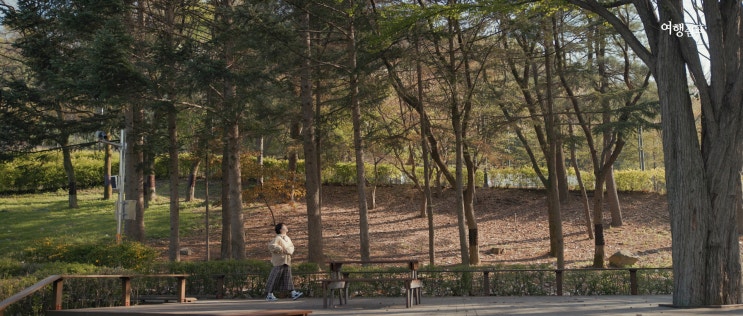  동물원과 산책을 한 번에! 과천 서울대공원